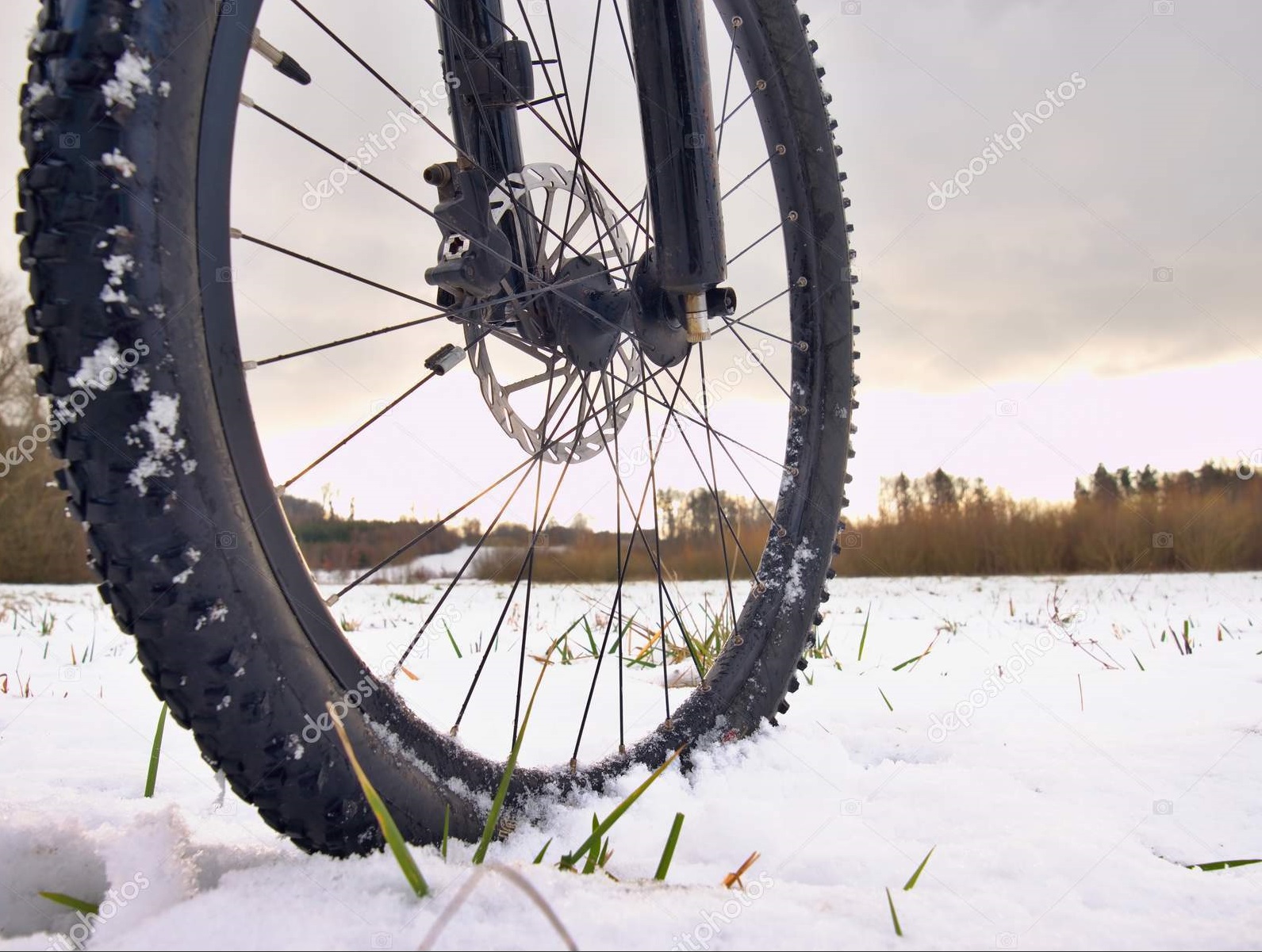 Depositphotos 188086910 stock photo the bicycle wheel in the